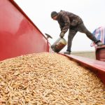 Фото: https://avatars.dzeninfra.ru/get-zen_doc/271828/pub_6923fdb8524b63670c82da16_6923fdc37a4a31268cfcc44e/scale_1200