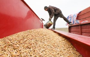 Фото: https://avatars.dzeninfra.ru/get-zen_doc/271828/pub_6923fdb8524b63670c82da16_6923fdc37a4a31268cfcc44e/scale_1200