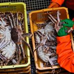 Фото: https://cdn-storage-media.tass.ru/resize/976x648/tass_media/2024/11/10/U/1731239720809451_U2ZODgqS.jpg