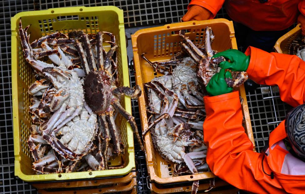 Фото: https://cdn-storage-media.tass.ru/resize/976x648/tass_media/2024/11/10/U/1731239720809451_U2ZODgqS.jpg