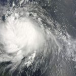 Фото: https://cdn.iz.ru/sites/default/files/styles/900x506/public/news-2025-12/20100829_cob_z03_992%20copy.jpg?itok=nFYXZTaC