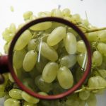 Фото: https://resizer.mail.ru/p/4e721830-fae1-5326-b39d-433d77f502ce/AQAGRpkxFnor7airqxXKltdfWCDS8WljDumEuh9lLJMZxZGD9iYv-kb-Ev5Oj8FmlkqoWZSm9f9-9Xlb7OPYj1MftJw.jpg