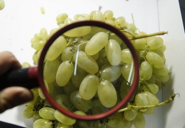 Фото: https://resizer.mail.ru/p/4e721830-fae1-5326-b39d-433d77f502ce/AQAGRpkxFnor7airqxXKltdfWCDS8WljDumEuh9lLJMZxZGD9iYv-kb-Ev5Oj8FmlkqoWZSm9f9-9Xlb7OPYj1MftJw.jpg