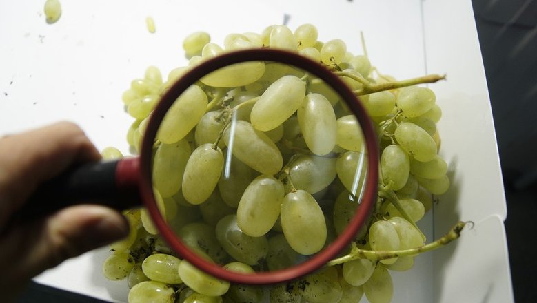 Фото: https://resizer.mail.ru/p/4e721830-fae1-5326-b39d-433d77f502ce/AQAGRpkxFnor7airqxXKltdfWCDS8WljDumEuh9lLJMZxZGD9iYv-kb-Ev5Oj8FmlkqoWZSm9f9-9Xlb7OPYj1MftJw.jpg