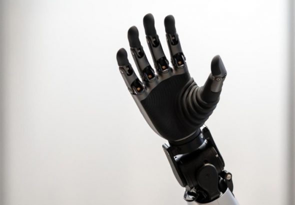 Фото: https://img.belta.by/images/storage/news/with_archive/2026/000025_1769426053_761008_big.jpg